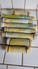 8 sticks SUGAR CANE GREEN Cut JUICING CHEWING ORGANIC PLANT