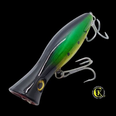Popper Topwater Jerkbait Jerk Hardbait Wobbler Raubfisch Kunstköder Hecht Wels