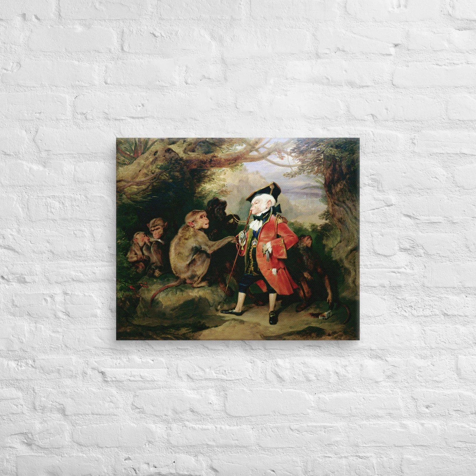 Funny Monkey Canvas Wall Art Print The Monkey Who Had Seen the World 20x24"
