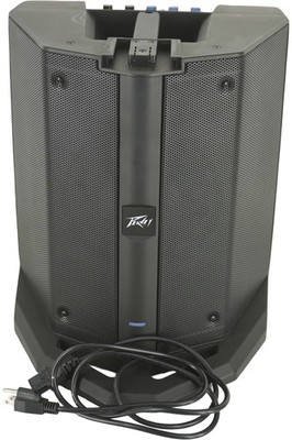 Peavey LN1063 Column Array - SUB ONLY
