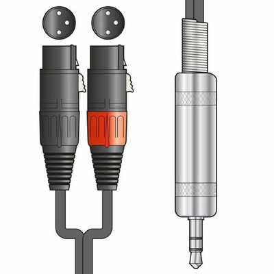 Citronic 3,5 mm TRS Mini-Klinkenstecker auf 2x Stecker XLR Stecker Audiokabel (1,0 m)