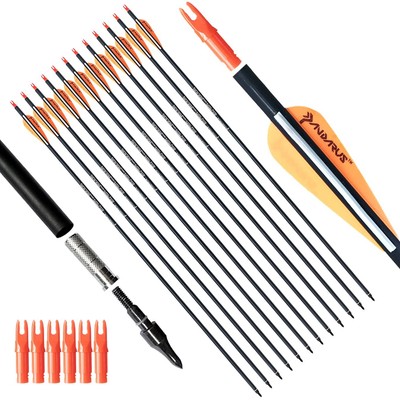 Archery 28Inch Carbon Practice Hunting Arrows with Removable for Youth Compou...