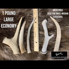 Large Deer Antler Dog Chew - 1 Pound Economy