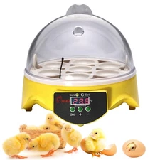 360° View 7-Egg Poultry Incubator for Hatching Chicken, Duck, Goose, Parrot