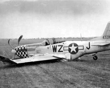 Damaged North American P-51 Mustang World War II WWII WW2 8x10 Photo 398c