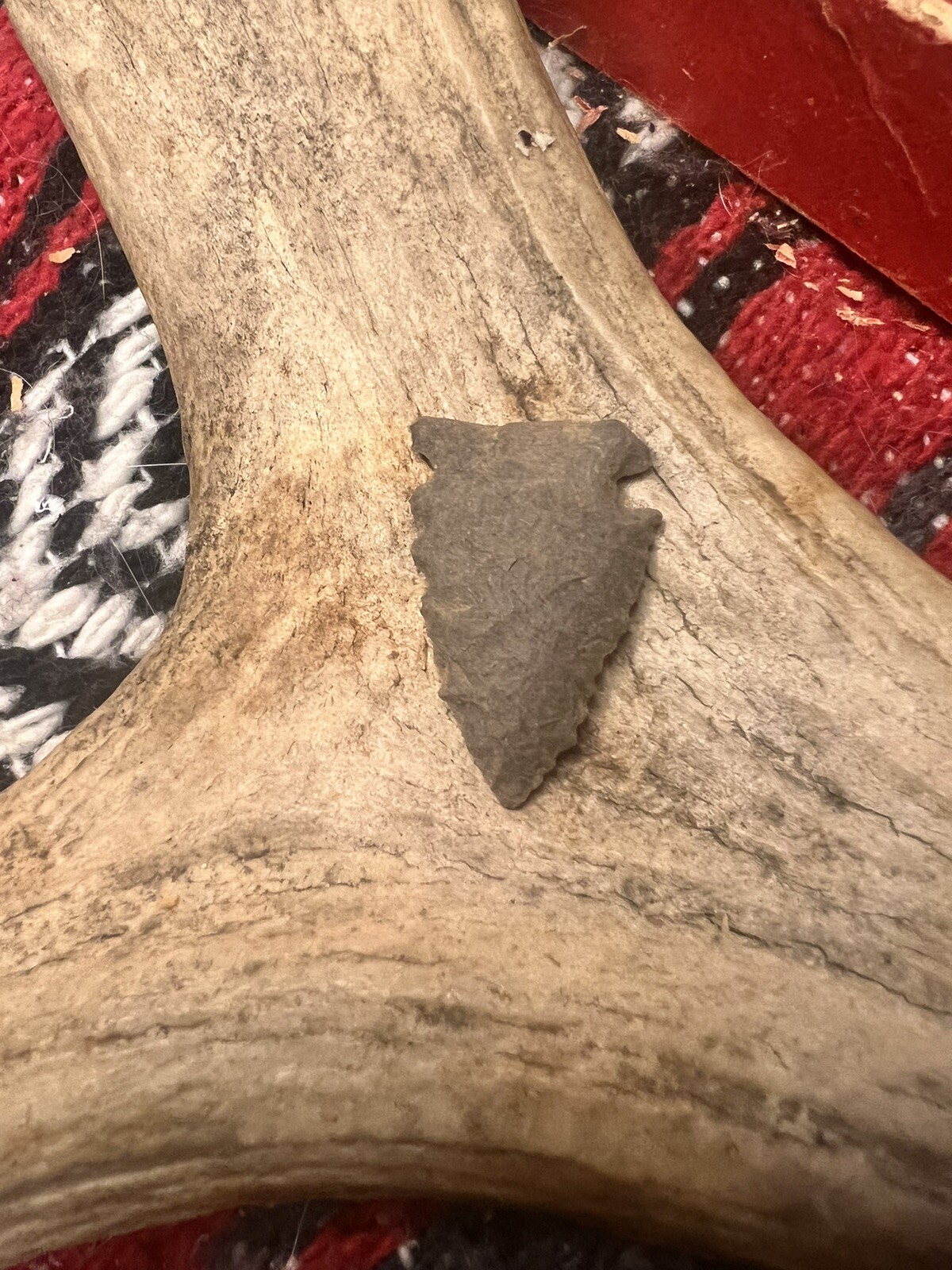 Picture 9 of 17