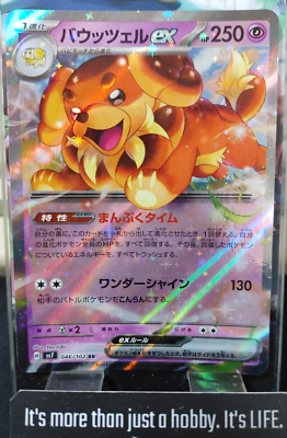 Pokemon Dachsbun ex sv7 046/102 RR Holo Card Japanese JAPAN
