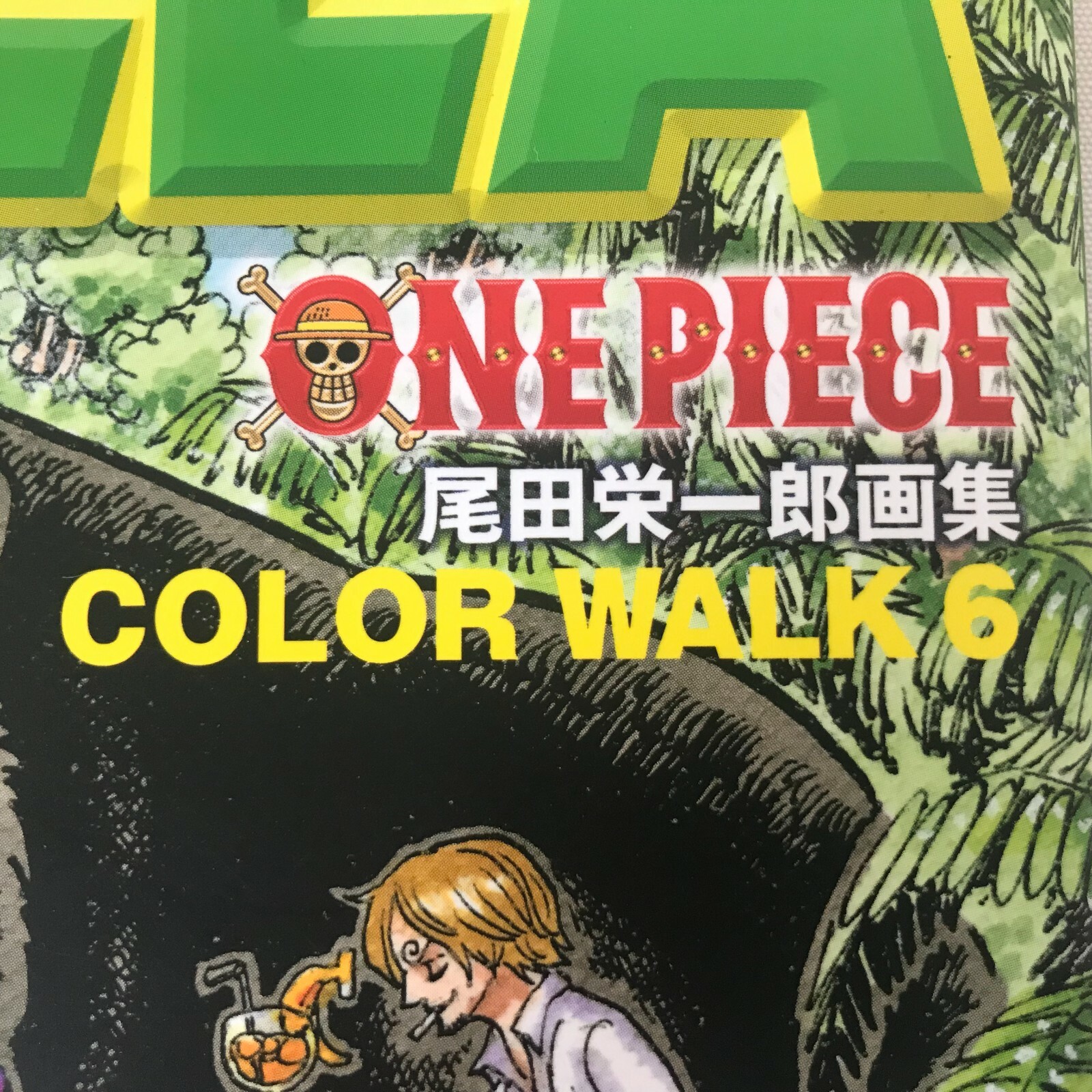 One Piece Color Walk 6 Gorilla Illustration Art Book Eiichiro Oda Shueisha 14 For Sale Online Ebay
