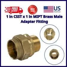 1 in CSST x 1 in MIPT Brass Male Adapter Fitting