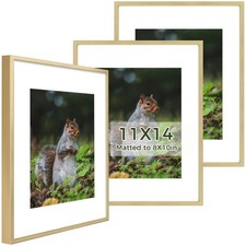 Golden State Art 11x14 Picture Frame 3 Pack - Aluminum Frames with 8x10 Removabl