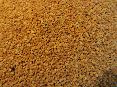 500g Blütenpollen Blüten Pollen Bienen Imker Fischfutter Protein Bienenbrot