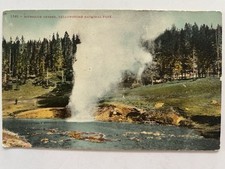 RIVERSIDE GEYSER POSTCARD YELLOWSTONE NATIONA...