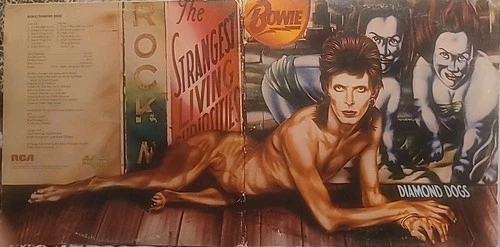 DAVID BOWIE Diamond Dogs 1974 Record Vinyl LP RCA Victor CPL1-0576 Dynaflex