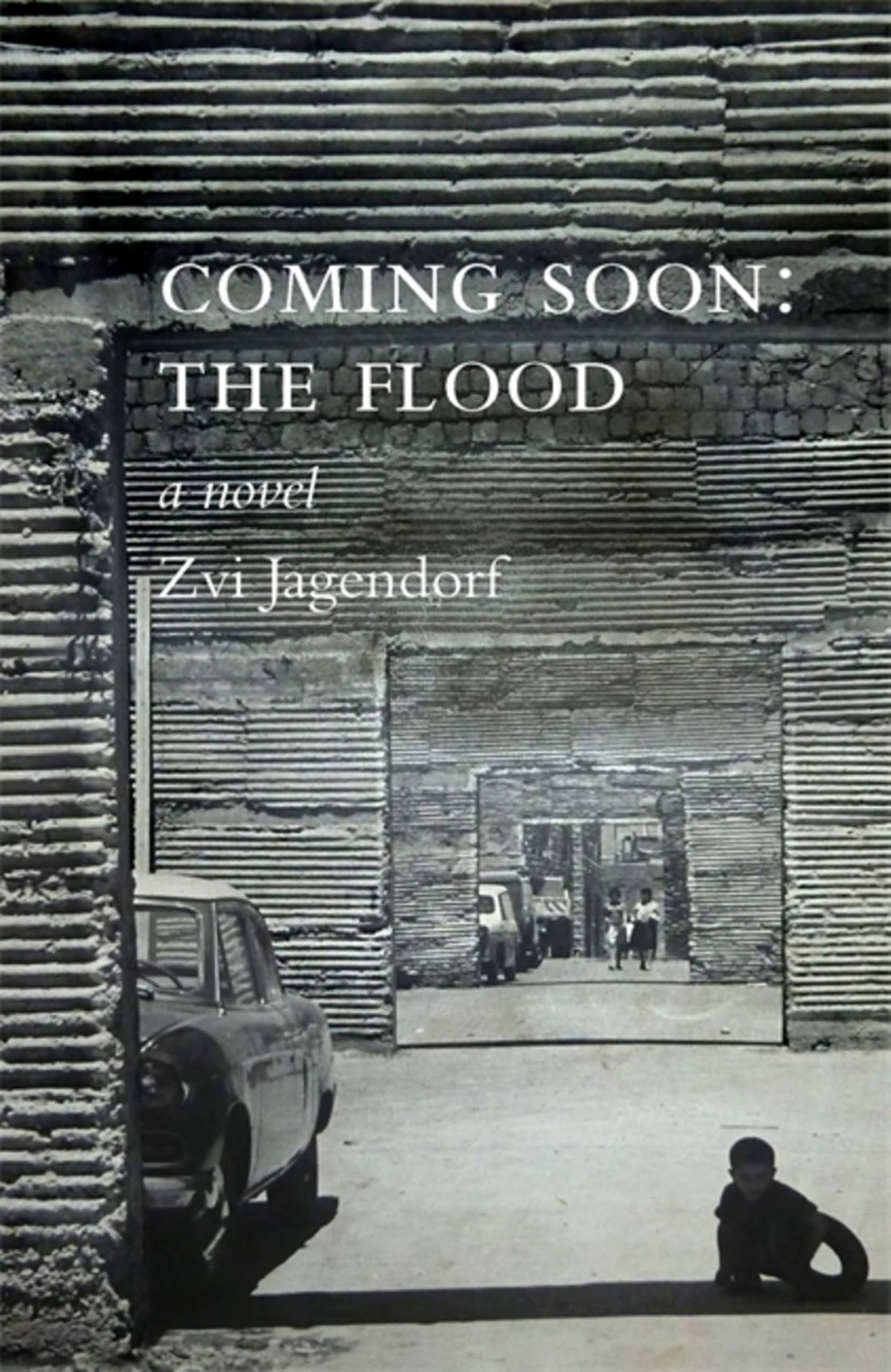 Coming Soon: The Flood Zvi Jagendorf - Image 5
