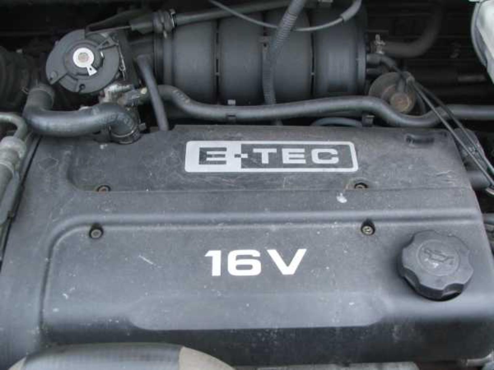 Picture 10 of 10