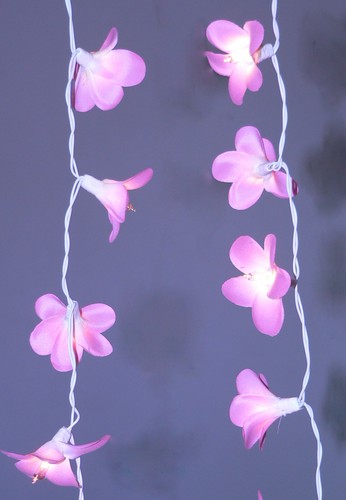 20 Baby Pink Frangipani Fairy LED Light wedding decoration girl kid present gift - Picture 5 of 6