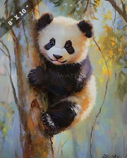 Baby Panda Climbing Tree in Soft Sunlight 8x10 Matte Print