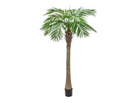 Europalms PhöNixpalme Luxor, Kunstpflanze, 240Cm ( Pflanzen )