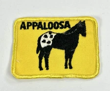 Appaloosa Horse Patch 2.5”x3.5” Yellow