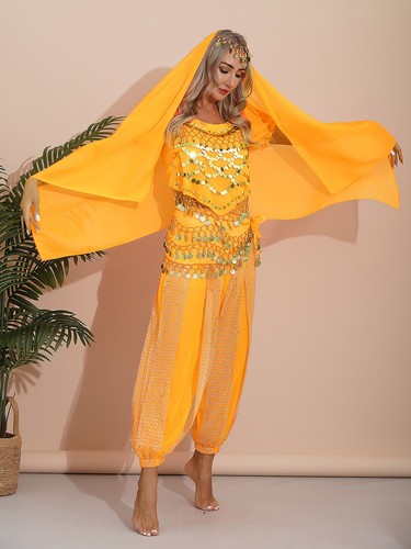 Damen Tanzbekleidung Laterne Kostüm Harem Outfit Cosplay Tanz Schal Bauch Sets - Bild 138 von 139