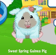 Webkinz Classic Sweet Spring Guinea Pig CODE ONLY