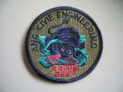 ANG Civil Engineering Prime Beef Subdued PatchRare Typo