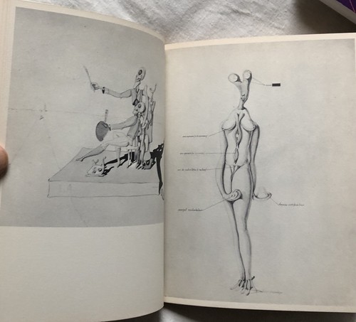 VICTOR BRAUNER - catalogue d'exposition - Alexandre Iolas 1967 - Picture 5 of 9
