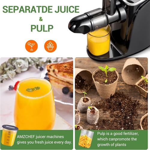 Licuadora para Verduras y Frutas con 2 Modos de Velocidad Prensado en Frio con F - Imagen 4 de 9