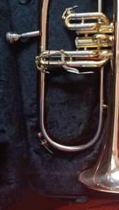 Gold Brass Lacquered Flugelhorn 3-Valve with Case and Mouthpiece
