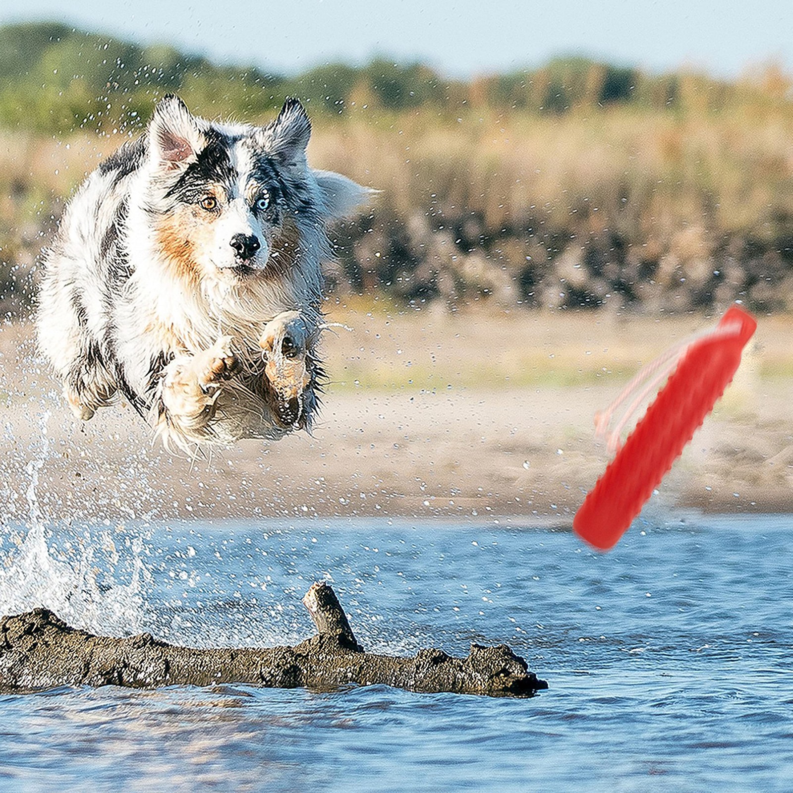 Segzwlor Dog Float Toy-Interactive Training Bumper & Fetching Retrieving Dummy