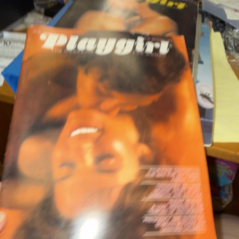 Playgirl Magazine 1973 Illustrated, English, Vintage Men's Magazine, Men Genre