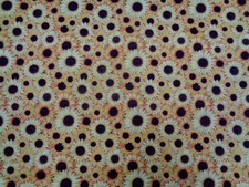 PACKED DAISY ON YELLOW - 36"L X 44"W - 1 YARD - 100 COTTON - VERY CUTE