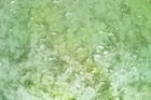 Foto 7 di 8