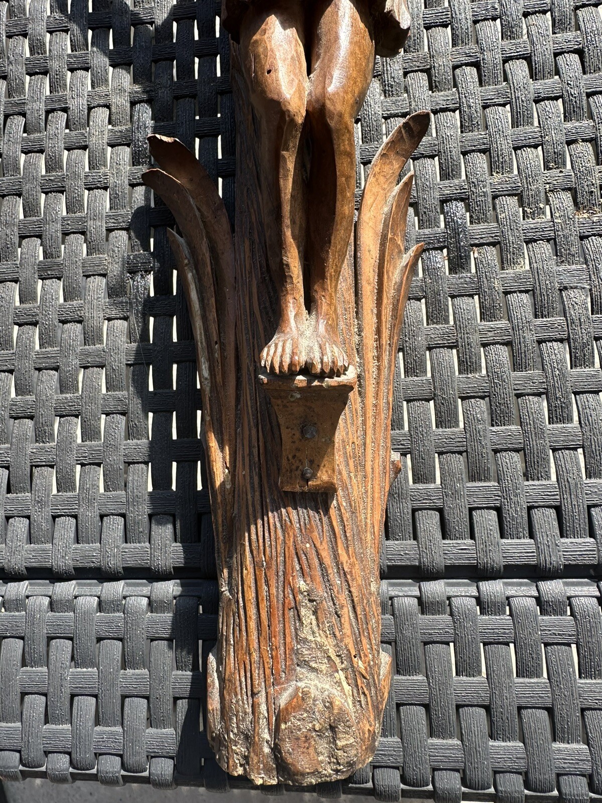 Picture 4 of 5