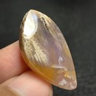 Foto 6 di 7