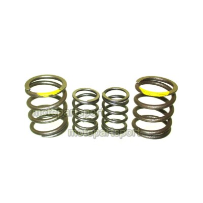 Exhaust Inlet Valve Springs For YX 150cc 160cc 1P60FMJ 1P60FMK Pit Dirt Bike