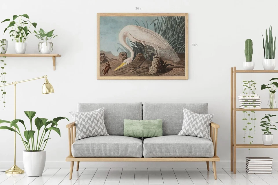 Arte de pared con impresión en lienzo de pájaro garza blanca John James Audubon Foto 2 de 4