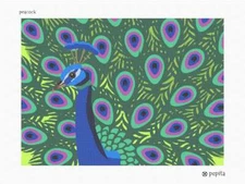 Peacock Needlepoint Kit or Canvas