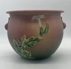 Vintage Roseville Pottery Thorn Apple Jardiniere  Vase