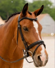 KL Select Snaffle Horse Bridle Removable Flashing + Reins Brown Leather No Brow