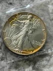 1989 American Silver Eagle - Toning around edges