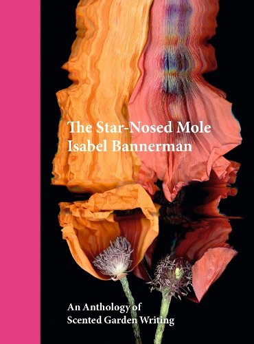 The Star-Nosed Mole by Isabel Bannerman - 9781910258453