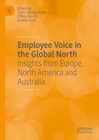 Employee Voice In The Global North Toyin Ajibade Adisa