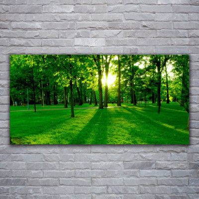Acrylglasbilder Wandbilder aus Plexiglas  120x60 Wald Natur
