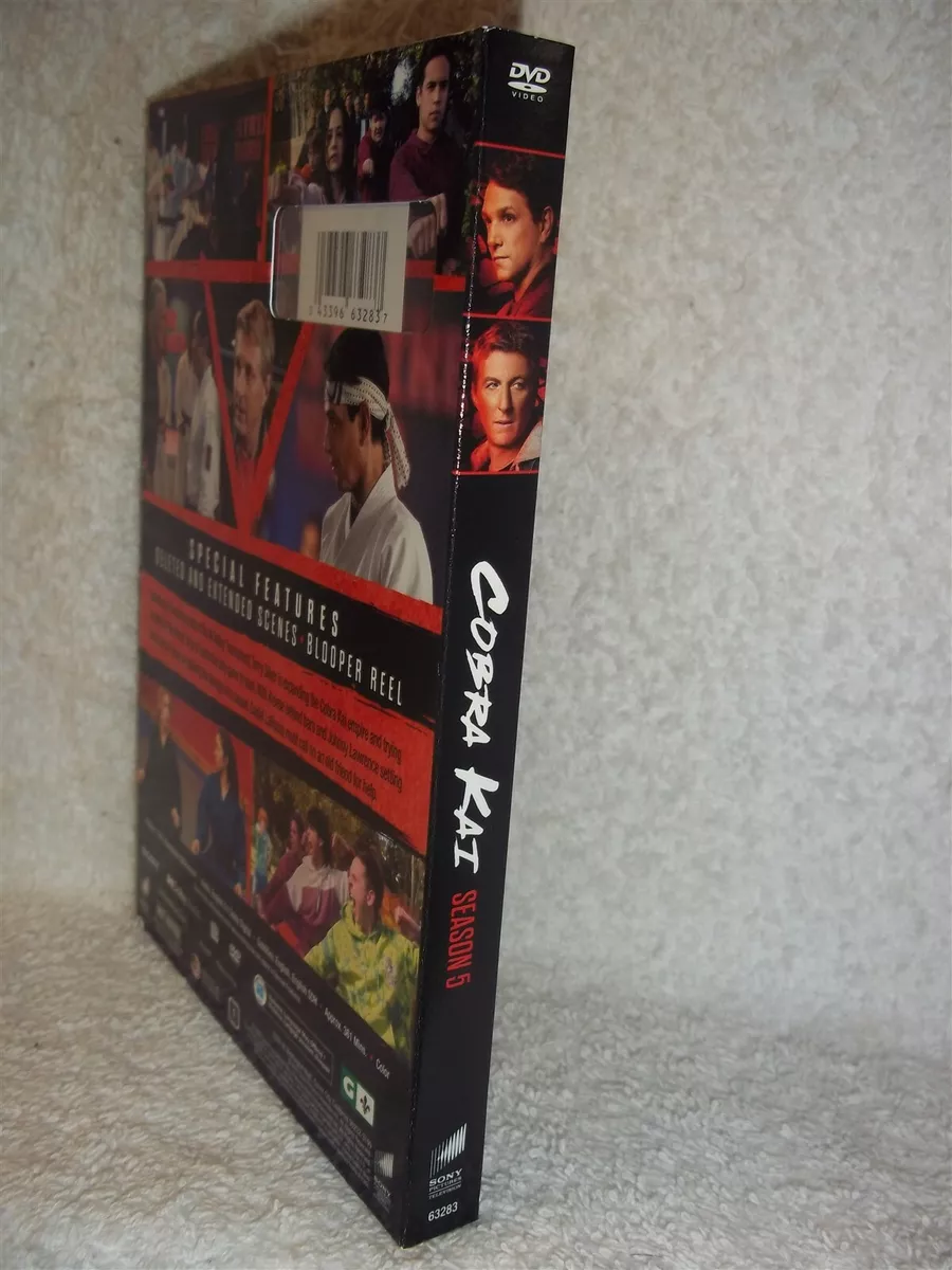 Cobra Kai - Season 05 (2 Disc) (dvd) : Target