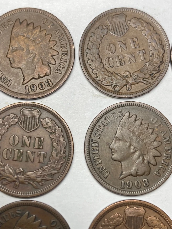 1903 INDIAN CENT ROLL, 50 nice condition (no problem) coins - Image 3 of 4