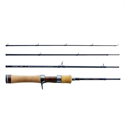 TENRYU Baitcasting Rod 23 Rayz Integral RZI484B-L for Trout