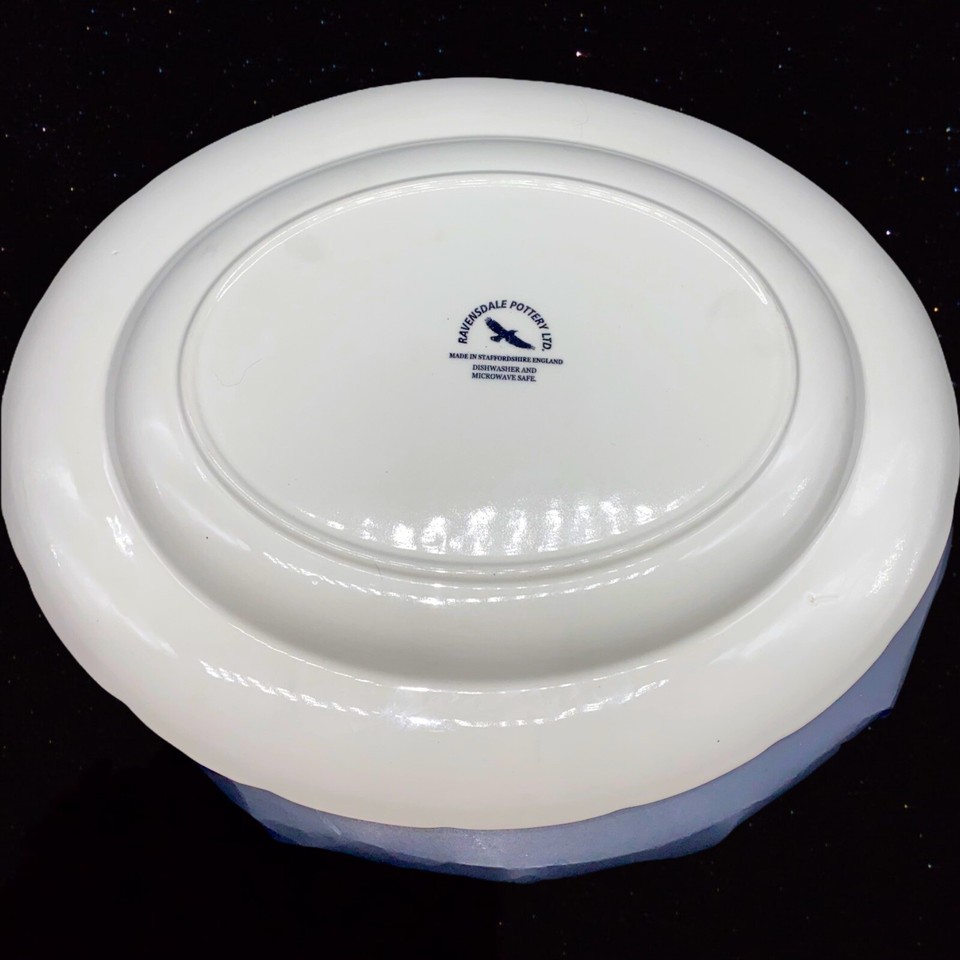 Ravensdale Pottery LTD Staffordshire England Exotic Bird Black 11" Oval