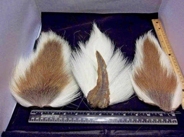moose mane fly tying