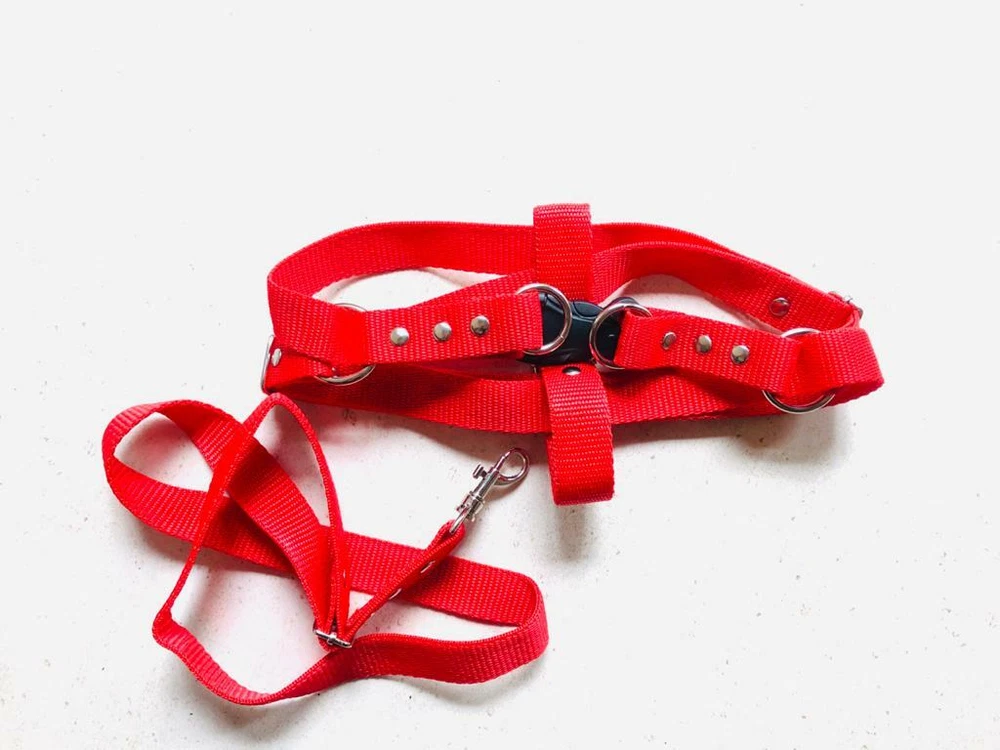 Dog Harness Pet New Nylon Durable Reflective Adventure Outdoor Safety Adjustable